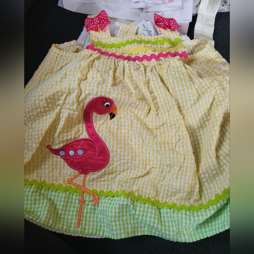 Emily Rose Dress 18 months